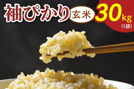 令和8年度産 袖ぴかり《玄米》30kg (1袋) [0770]