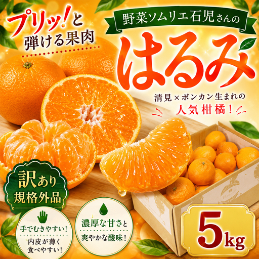 はるみ 訳あり 5kg 規格外 ミカン 柑橘 2027年発送 先行予約 ／ 野菜ソムリエ石児さんの「はるみ 5kg」＜103-011＞