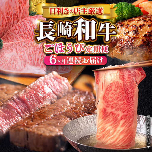 【全6回定期便】60年以上愛される老舗「野中精肉店」よりお届け！目利きの店主厳選ご褒美定期便[VF98]