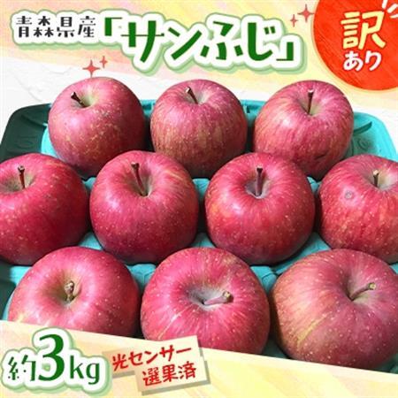 青森県産「サンふじ」家庭用　訳あり 光センサー選果済　約3kg【1656885】