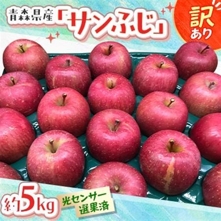 青森県産「サンふじ」家庭用　訳あり 光センサー選果済　約5kg【1656888】