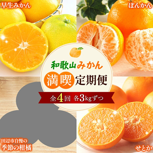 【全4回定期便】和歌山みかん満喫定期便 （早生みかん・ぽんかん・季節のお任せ柑橘・せとか各3kgずつ） ※2025年12月より4回お届け / みかん 定期便 柑橘 せとか フルーツ 早生みかん ミカン 和歌山 果物 田辺市 くだもの【tcs022-tk】