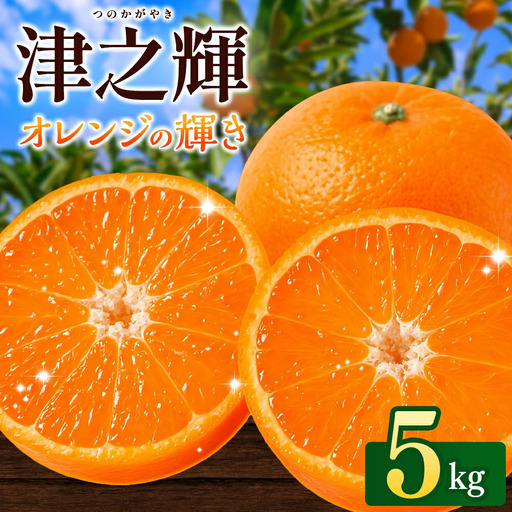 ＼先行予約／ 津の輝（つのかがやき）5kg（2027年2月以降順次発送予定） / みかん 津の輝 柑橘 かんきつ フルーツ 果物 紀州産 和歌山県 田辺市【tcs026】