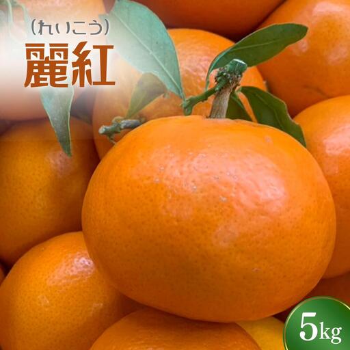  ＼先行予約／ れいこう 麗紅 5kg （2027年2月以降順次発送予定） / みかん 柑橘 珍しい ミカン 柑橘 フルーツ 果物 紀州産 和歌山県 田辺市【tcs028】