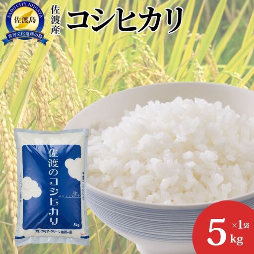 コシヒカリ 精米 5kg | 新潟県 佐渡市 コシヒカリ