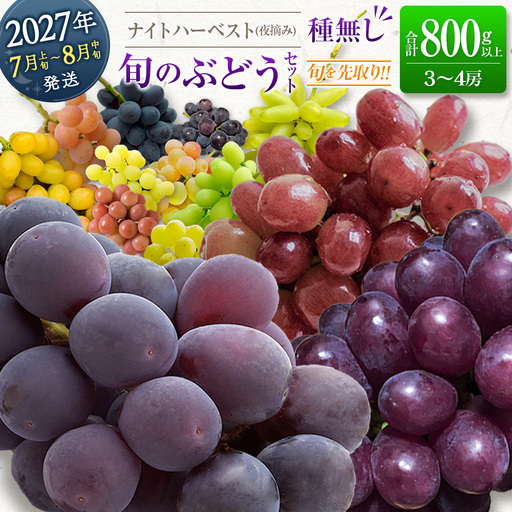 [ご自宅・ご家庭用]ブドウ 2027年収穫・発送 ナイトハーベスト(夜摘み)『旬の種無しぶどうセット』 合計800g以上 3〜4房 希少 人気 ブドウ フルーツ 果物[B668-27]