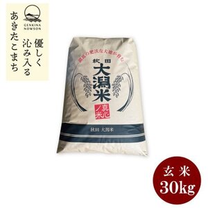 【毎月定期便】秋田県産　あきたこまち1等　玄米　30kg全12回【配送不可地域：離島・沖縄県】【4072903】
