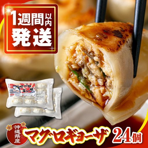 冷凍マグロギョーザ 24個(12個入り2パック)  7000円 BCDZ003