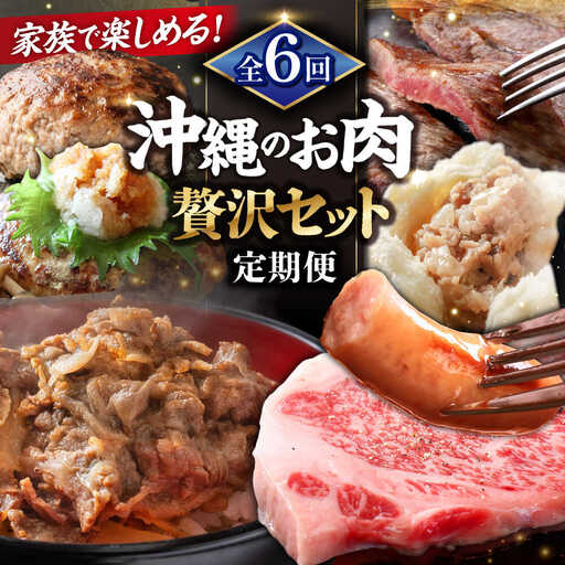 [全6回定期便]沖縄のお肉贅沢セット ハンバーグ あぐー 石垣牛 ステーキ 焼肉 冷凍