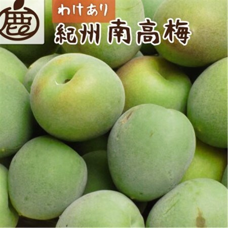 家庭用 紀州南高梅(青梅)1kg+250g(傷み補償分)[梅干し・梅ジュースに◎][訳あり][配送不可地域:離島・北海道・沖縄県]