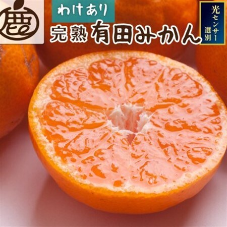 家庭用 完熟有田みかん10kg+250g(傷み補償分)【光センサー選果】【訳あり】【配送不可地域：離島・北海道・沖縄県】【1664251】