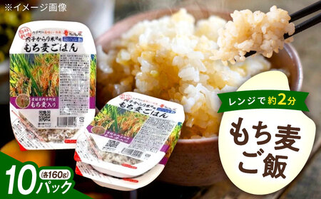 もち麦ごはん 10P BKAD006 パックごはん