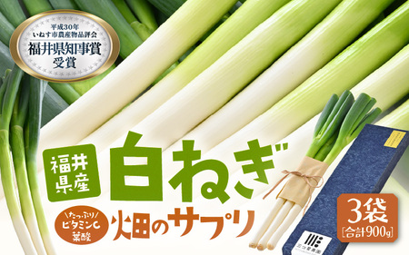 [先行予約] ビタミンCと葉酸たっぷり「畑のサプリ白ネギ」食べきり3袋 [2026年11月以降順次発送予定] 長ネギ 長ねぎ 葱 長葱 白葱 野菜 [A-2613]