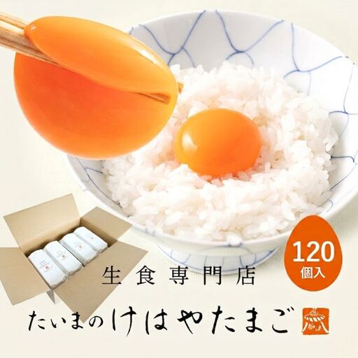 たいまのけはやたまご　120個入り　／たまご　生卵　奈良県　葛城市【tegg005】