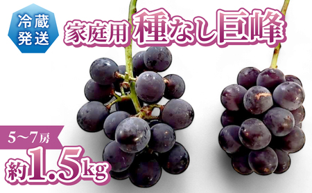 【先行受付2026年発送】家庭用種なし巨峰　約1.5kg（5～7房）※2026年9月中旬以降発送予定【Grape Farm Kodaira】
