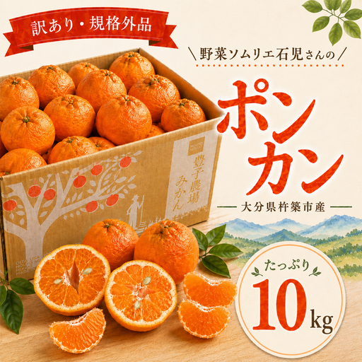 ポンカン 訳あり 10kg 規格外 ミカン 柑橘 2027年発送 先行予約 ／野菜ソムリエ石児さんの「ポンカン 10kg」＜103-010＞
