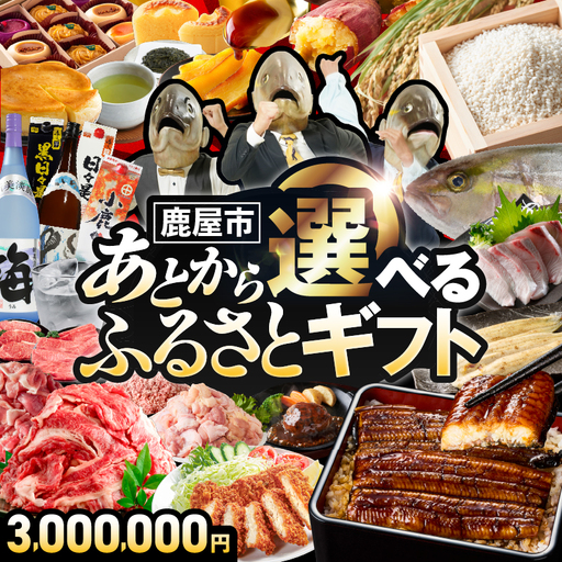 あとからセレクト[ふるさとギフト]300万円 KN000-AS0300 選べる