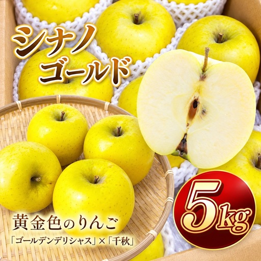 りんご シナノゴールド 令和8年11月上旬発送 信州のシナノゴールド 約5キロ 信濃三兄弟の一つ【018-37】