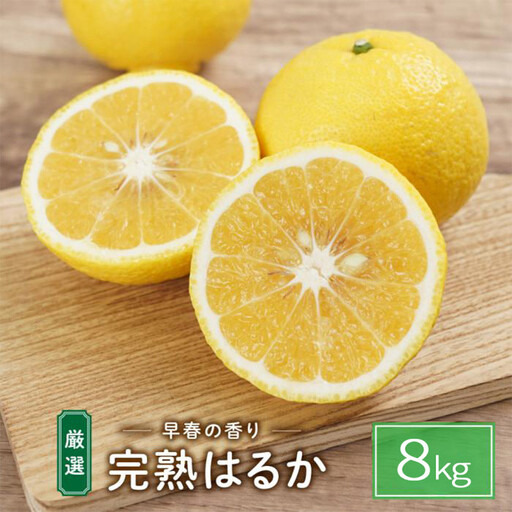 完熟はるか 8kg ドルチェみかん
