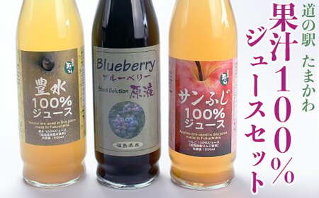 【道の駅たまかわ】玉川村産 果汁100％ジュースセット FT18-179