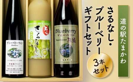 【道の駅たまかわ】さるなし・ブルーベリーギフトセット FT18-183