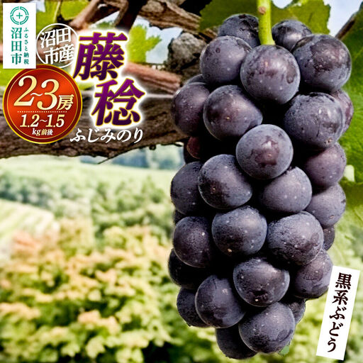 沼田市産 ぶどう 藤稔 2〜3房(約1.2kg〜1.5kg)まるいぶどう園