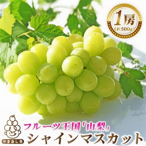 2027年発送　先行予約　山梨県産シャインマスカット1房(約500g)　【配送不可地域：離島・沖縄県】【1666979】