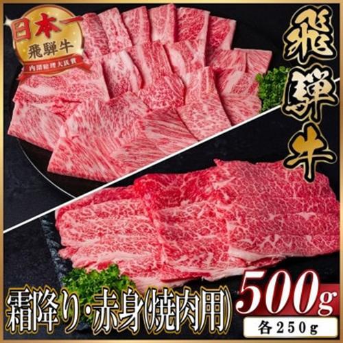 【訳あり】飛騨牛 霜降り・赤身(焼肉用)500g【配送不可地域：離島】【1667149】
