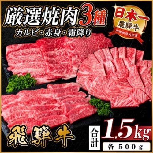飛騨牛 焼肉3種(カルビ・赤身・霜降り) 計1.5kg_カルビ_【配送不可地域：離島】【1668600】