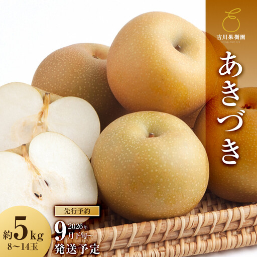 [2026年分先行予約] 梨 あきづき 約5kg(8〜14玉)9月下旬〜順次発送[吉川果樹園] | 梨