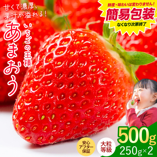 あまおう いちご 500g 簡易包装版
