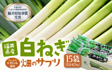 [先行予約] ビタミンCと葉酸たっぷり「畑のサプリ白ネギ」大容量パック 約300g入 × 15袋 [2026年11月以降順次発送予定] 長ネギ 長ねぎ 葱 長葱 白葱 野菜 [A-2614]