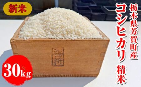 令和8年産新米 栃木県芳賀町産 コシヒカリ 白米 30kg｜米 お米 新米 白米 コメ こめ 国産 産地直送 旬 期間限定 季節限定 送料無料《2026年9月下旬-2027年1月下旬頃出荷予定》
