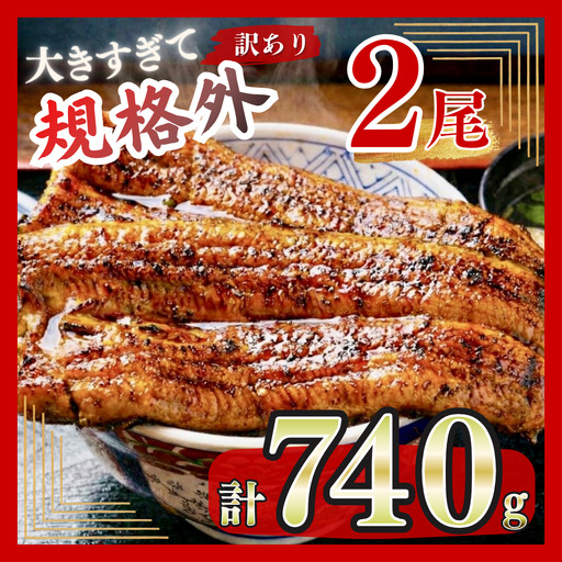 うなぎ 蒲焼 特大 訳あり 2尾 740g うなぎ