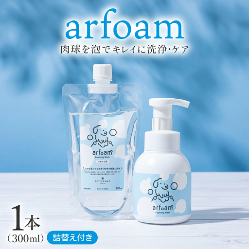 arfoam(アルフォｰム)300mlと300ml詰替えセット