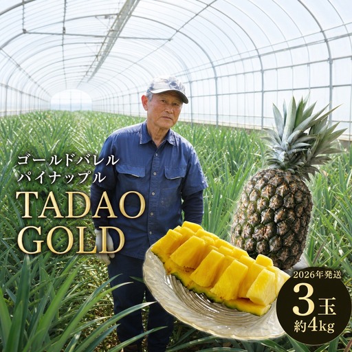 パイナップル TADAO GOLD 3玉 約4kg（多冠芽含む）