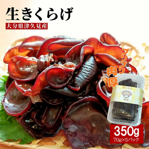 きくらげ 肉厚生きくらげ 70g×5P