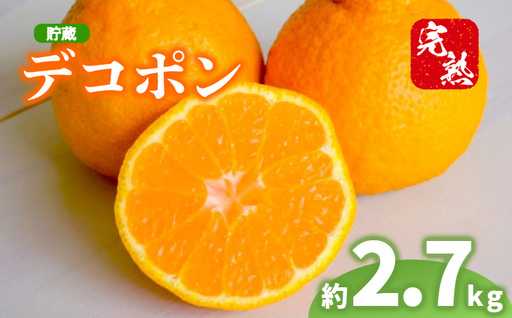 2027年 先行予約 デコポン 約2.7kg 不知火 デコポン