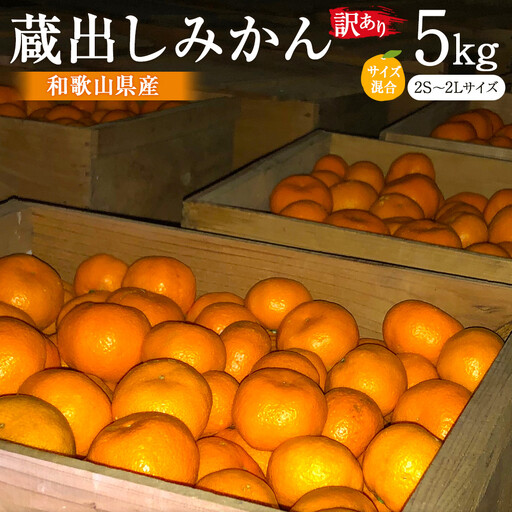 訳あり 蔵出しみかん 約5kg 2S～2Lサイズ混合