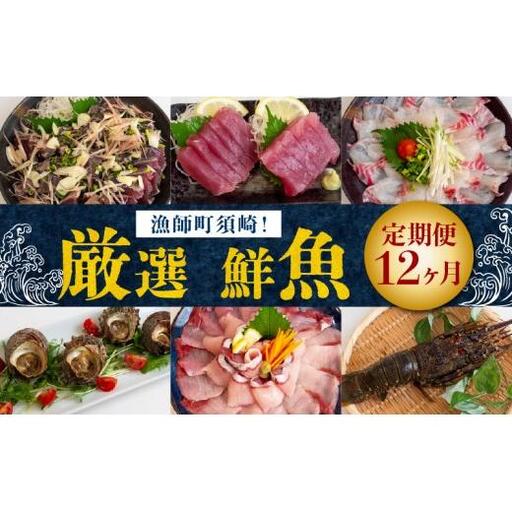 【 刺身 】 刺身定期便12ヶ月
