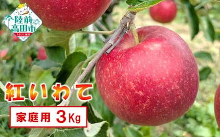 [先行予約] 家庭用りんご 3kg 品種:紅いわて 訳あり りんご