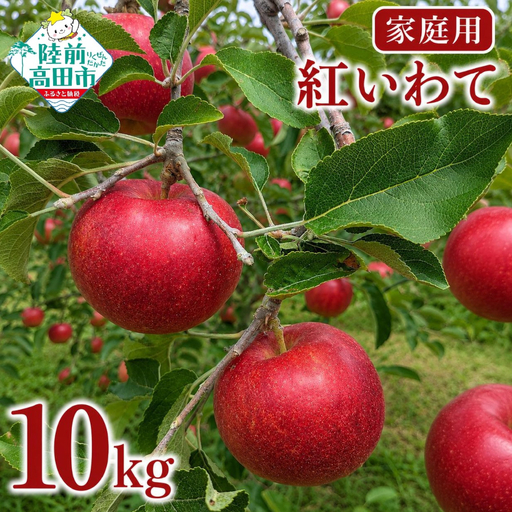 【先行予約】 家庭用りんご 10kg 品種：紅いわて 訳あり りんご