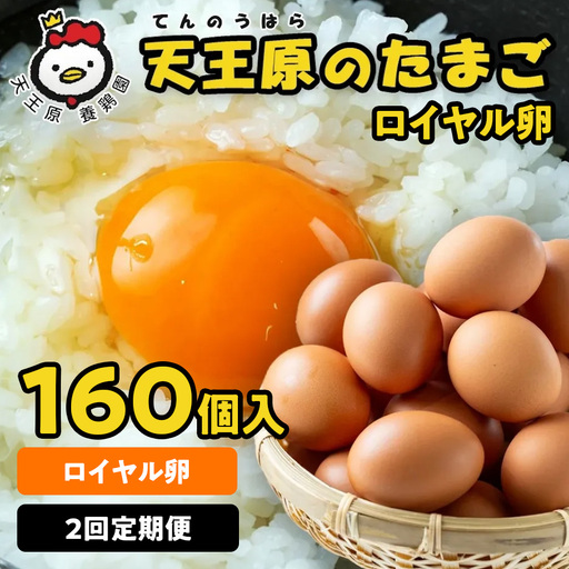 【定期便】2回定期 【天王原のたまご】 ロイヤル卵160個入り