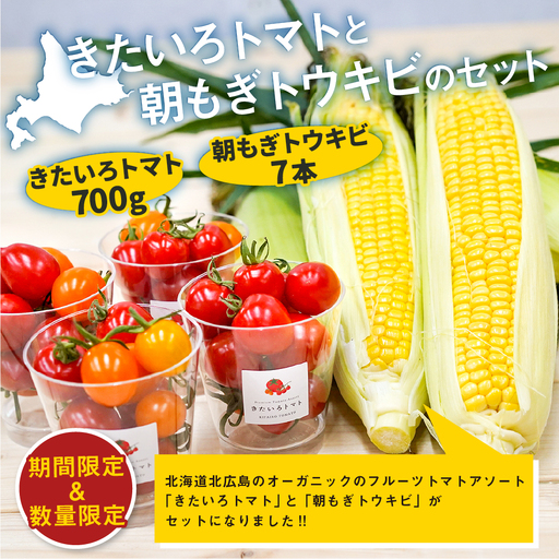 きたいろトマト 700g 朝もぎトウキビ 7本 セット [2026年8月上旬〜9月上旬迄発送予定] トマト とうもろこし トウモロコシ 野菜 朝採れ オーガニック