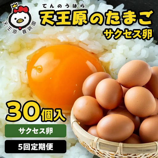 【定期便】5回定期 【天王原のたまご】サクセス卵 30個入り