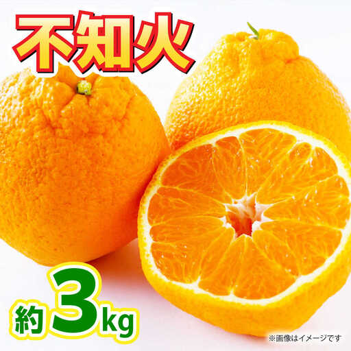 [先行予約]不知火 約3kg不知火はデコポンと同品種