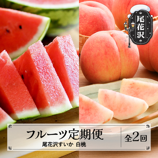 【先行予約】フルーツ定期便  全2回  スイカ もも 令和9年産  sb-fts2x-a-mo