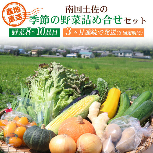 【3回定期便 野菜】南国土佐の季節の野菜セット