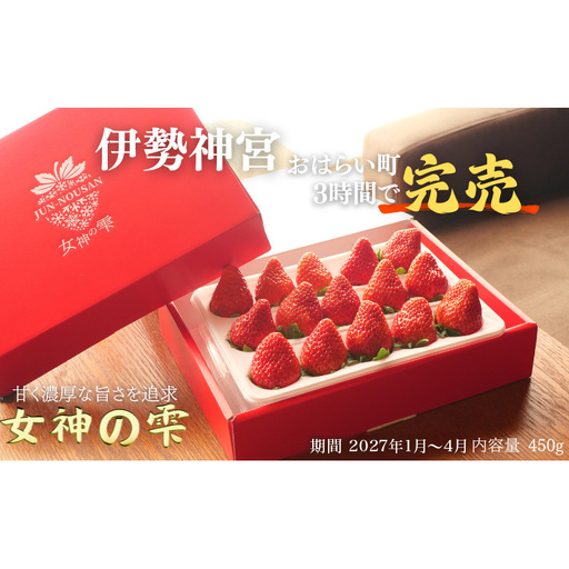 いちご 先行予約 女神の雫 450g 2027年 いちご