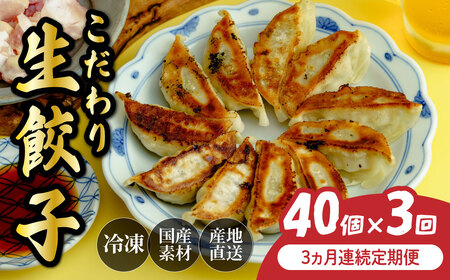 [定期便] 餃子 40個×全3回 | ぎょうざ 冷凍 北本フーズ